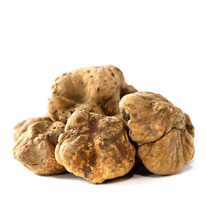 white-truffle.jpg