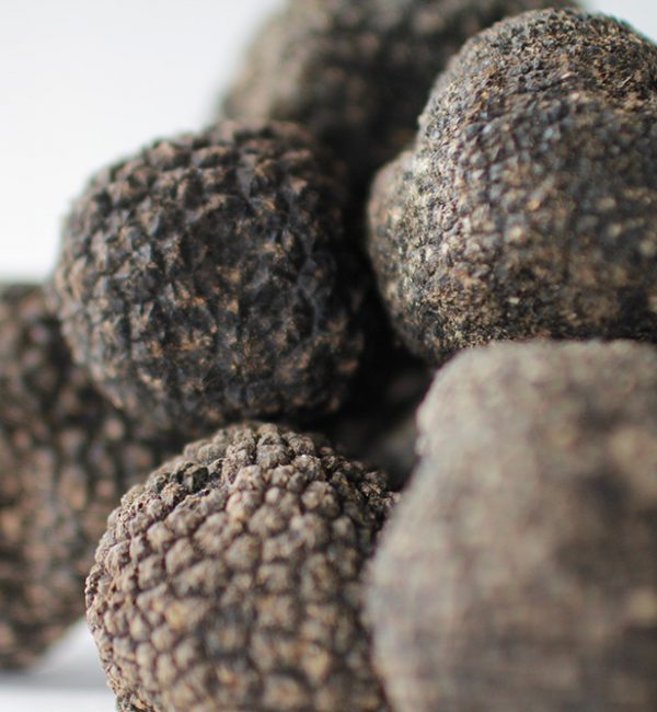 history-of-truffle history-of-truffle