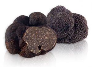 melanosporum melanosporum