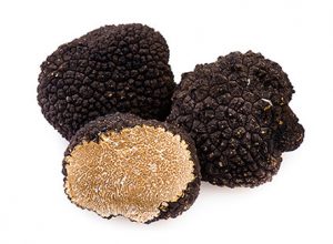 aestivum aestivum