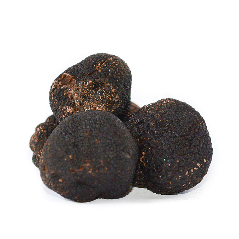 Truffe noire du Périgord : Truffe tuber melanosporum